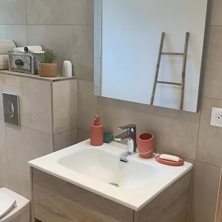 U Citraghju 펜션 펠리세토