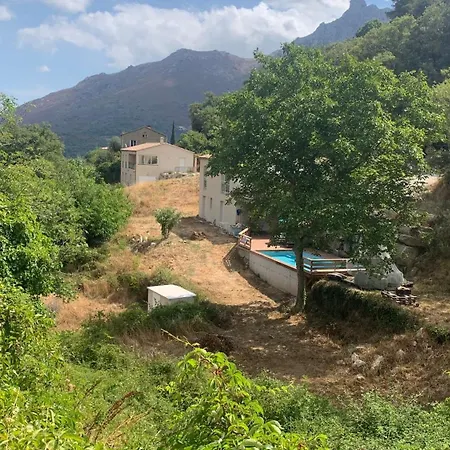 U Citraghju 펜션 펠리세토